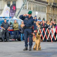 Wiener Sicherheitsfest 2018 062 © Die Helfer Wiens