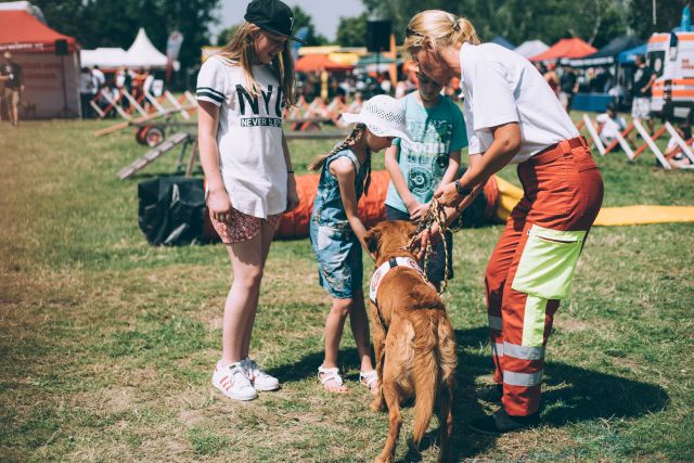 dif22_Therapiebegleithunde © Die Helfer Wiens / A. Chapalain