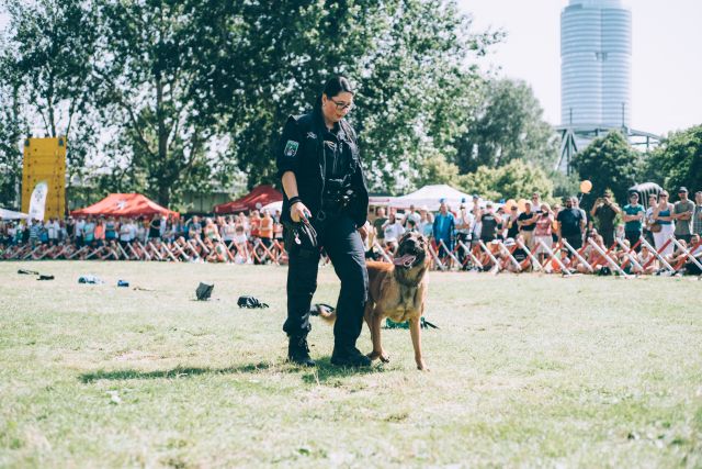 dif22_Polizeidiensthunde © Die Helfer Wiens / A. Chapalain